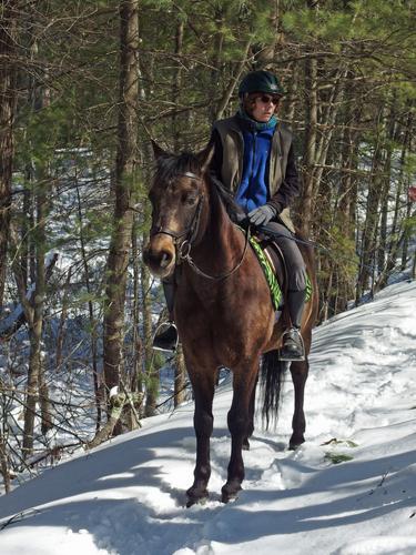 horse and rider at Sudbury Memorial Forest in eastern Massachusetts