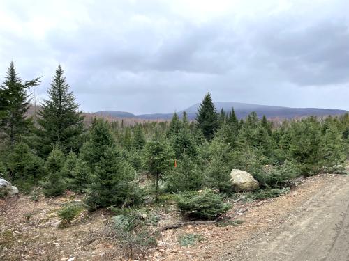 view in April from the woods road to Sugar Hill in western NH