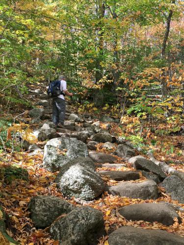 trail in September on Middle Sugarloaf Mountain in New Hampshire