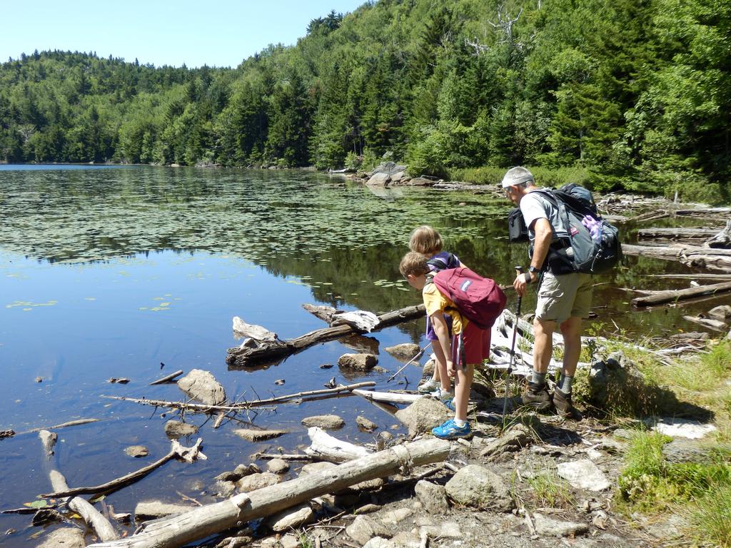 Carl, Talia and Dick find fearless frogs in July at the edge of Lake Solitude on Mount Sunapee in New Hampshire