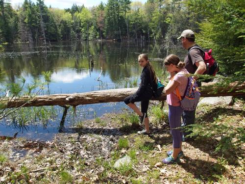 pond beside the Sweet Trail in southeastern New Hampshire