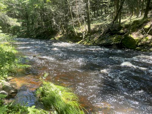 Swift River in July at Swift River Reservation in north central MA