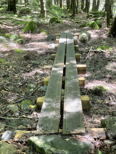 boardwalk in July at Swift River Reservation in north central MA