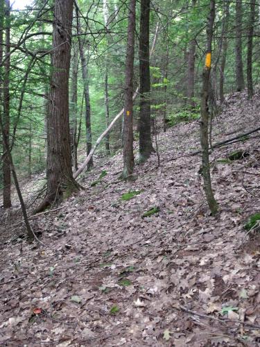 trail to Teneriffe Mountain in New Hampshire