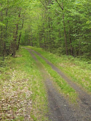  trail at Tetreault Park near Rindge in southern New Hampshire