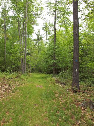  trail at Tetreault Park near Rindge in southern New Hampshire