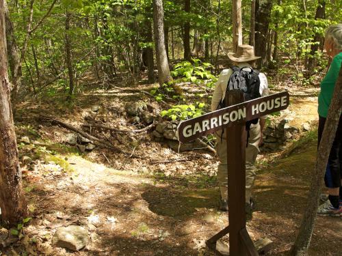 cellar hole at Thanksgiving Forest near Chelmsford in northeastern Massachusetts