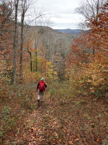 trail on Three Ponds Loop in New Hampshire