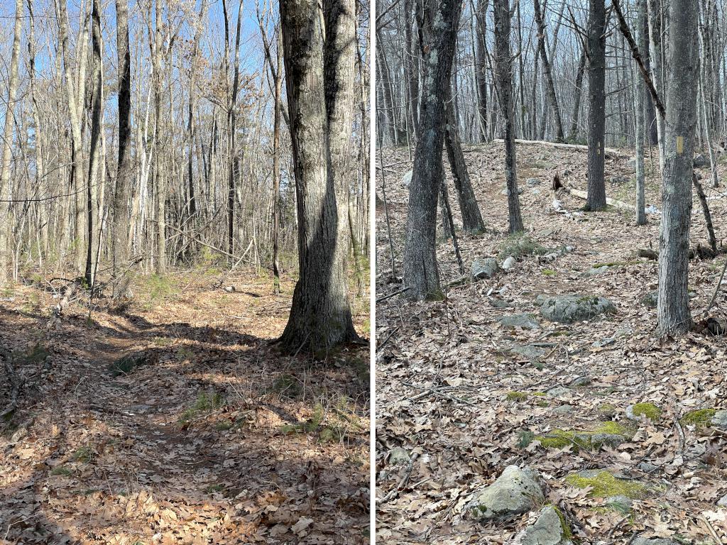 trails in February at Timberlake Conservation Land near Westford in northeast MA