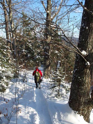 Chuck breaks trail through pristine pre-winter snow on the way to Tin Mountain in New Hampshire