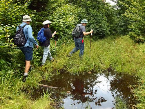 John, Elaine and Lance sneak around a wet woods-road section on the way to Tinkham Hill in New Hampshire