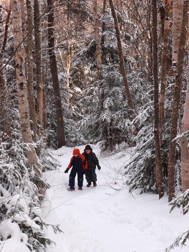 hikers on the trail to Mount Tom in New Hampshire