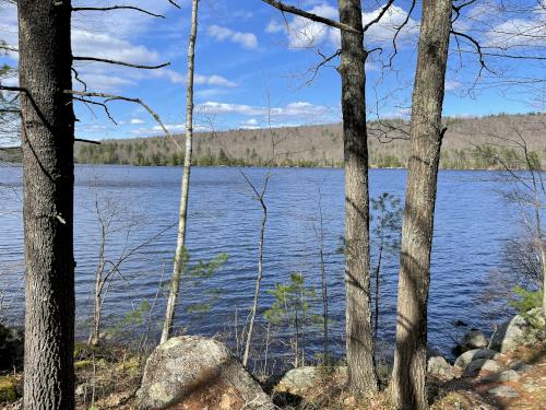 pond view in April at Tower Hill Pond in New Hampshire