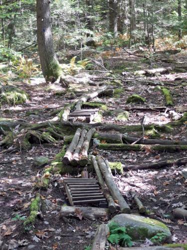 wet trail in October at Trout Brook Reservation at Holden in eastern Massachusetts