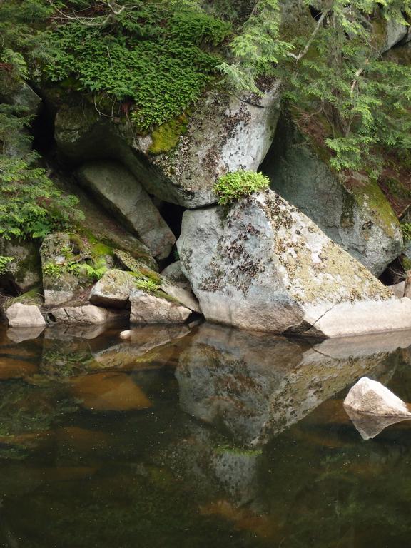 view of Tufts Pond in June on the way to Tufts Mountain in southwestern New Hampshire