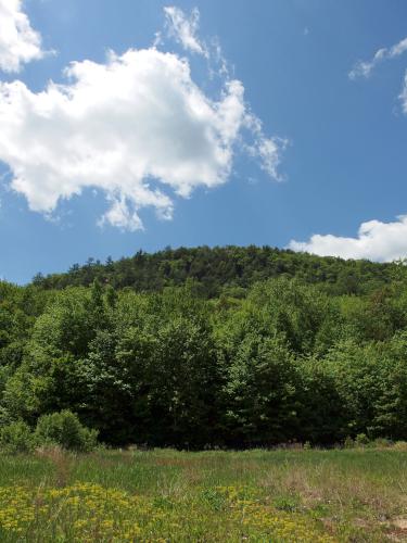 near-summit ledge as seen from the return trail at Tully Mountain in north central Massachusetts