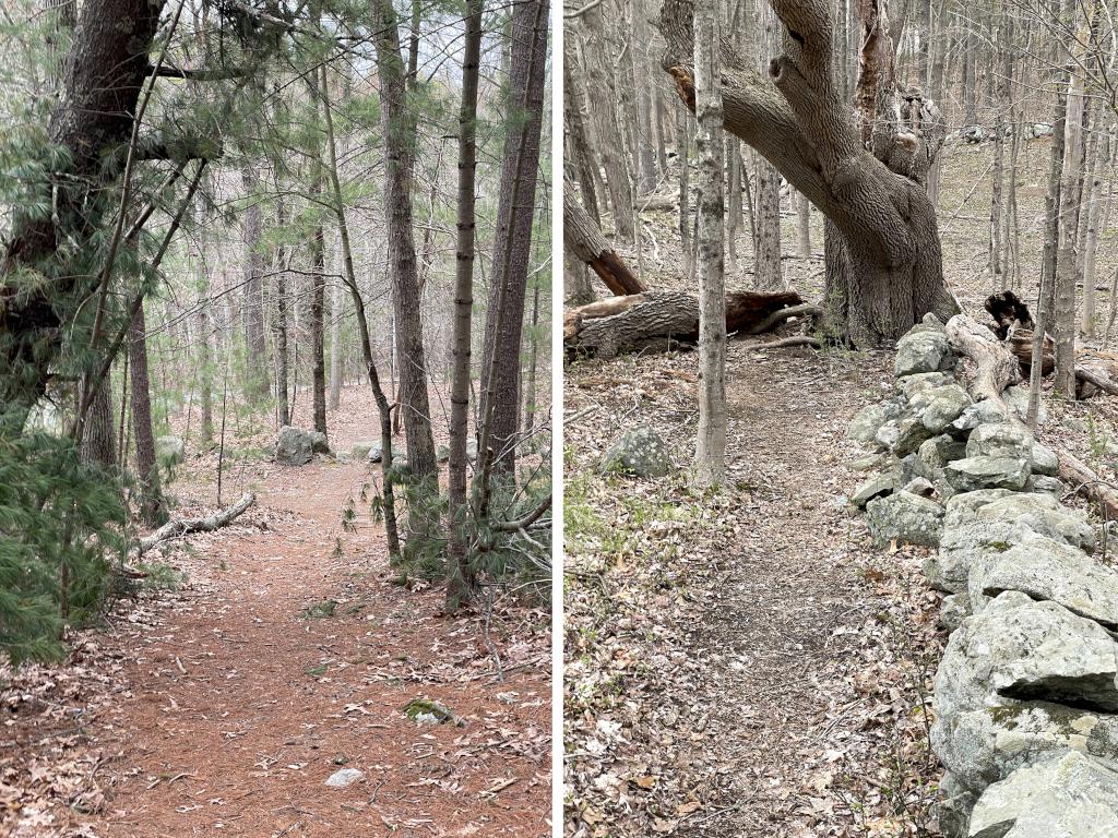 trails in April at Turkey Hill Area in eastern MA