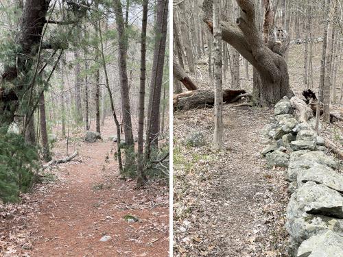 trails in April at Turkey Hill Area in eastern MA