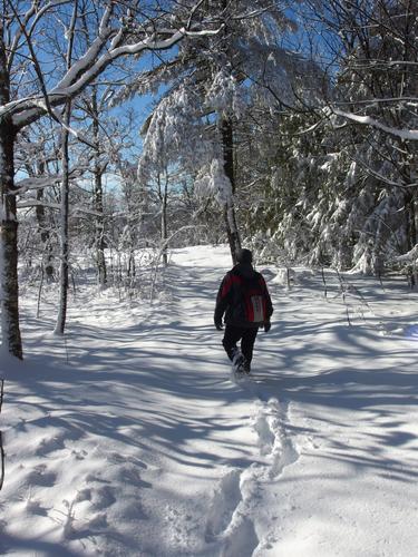 Lance hikes toward the summit of North Uncanoonuc Mountain in New Hampshire