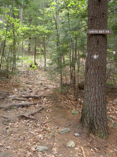 White Dot Trail to North Uncanoonuc Mountain in New Hampshire