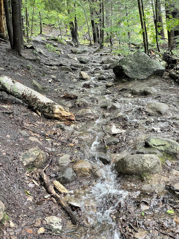 wet trail in July on South Uncanoonuc Mountain in southern New Hampshire