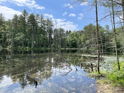 Dean Pond in June at Upton State Forest in eastern MA