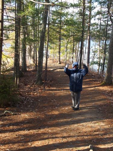 Betty Lou on the woods trail at Wagon Hill Farm in coastal New Hampshire