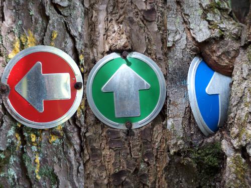 trail signs at Walcott Trails in southern New Hampshire