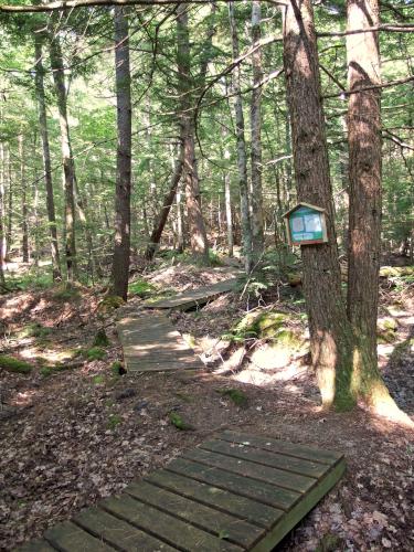 trail at Walcott Trails in southern New Hampshire