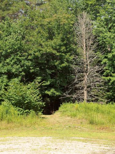 trailhead at Walcott Trails in southern New Hampshire