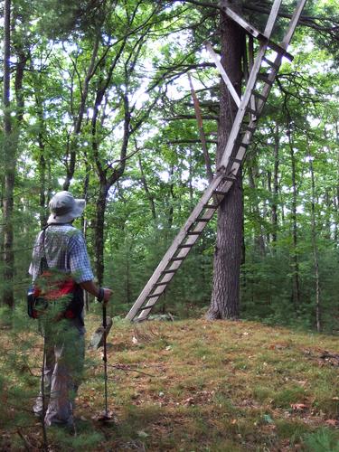 hunting tree stand on Mount Dearborn near Weare in southern New Hampshire