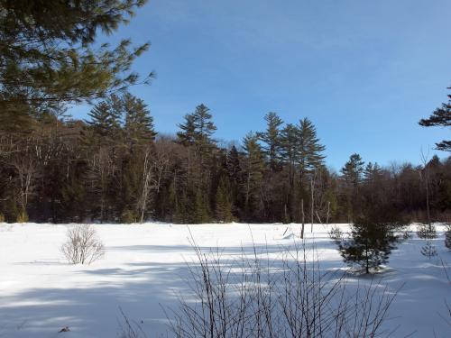 marsh at Walter-Newton Conservation Trails in New Hampshire