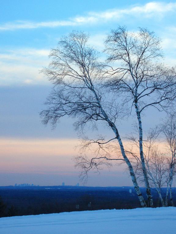 sunset over the Boston skyline as seen from Ward Reservation in Massachusetts