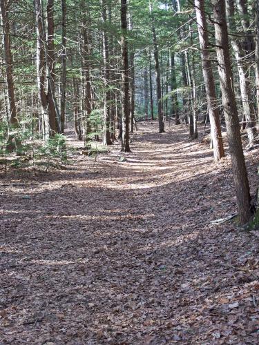 trail in January at Wason Pond in southern New Hampshire