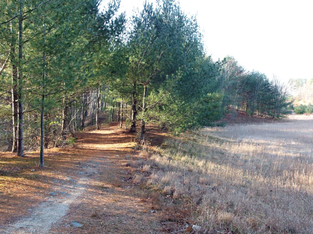 Field Loop Trail in December at Wasserman Conservation Area in southern New Hampshire