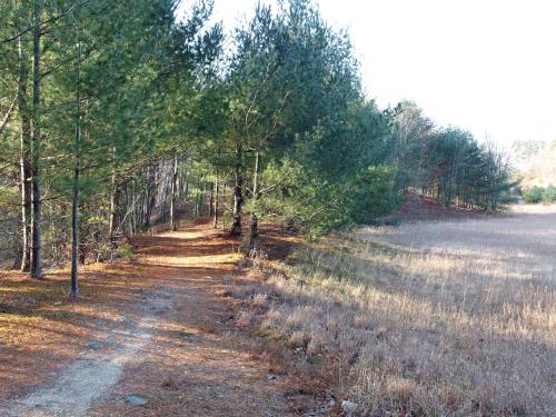 Field Loop Trail in December at Wasserman Conservation Area in southern New Hampshire