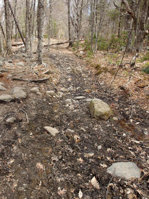 State Line Trail in April at Mount Watatic in Massachusetts