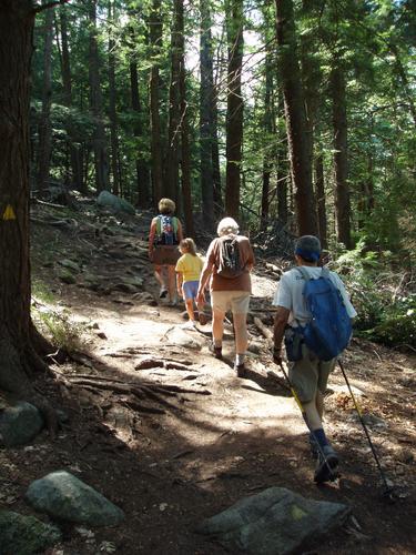 hiking up the Wapack Trail to Mount Watatic in Massachusetts