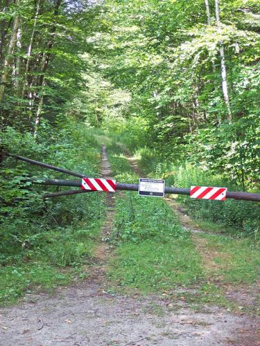 Walker Brook Road on the way to the B-18 Bomber Crash Site on Mount Waternomee in western New Hampshire