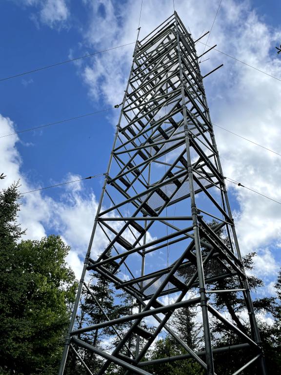 viewing tower in June on Sayre Peak near Mount Waternomee in western New Hampshire