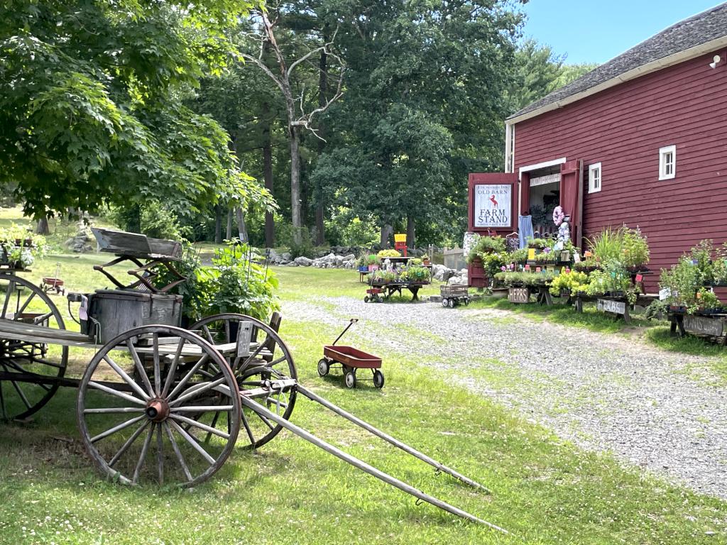 Farm Stand in June at Wayside Inn Historic Site in eastern MA