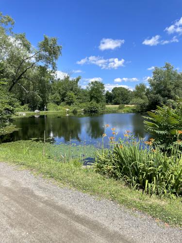 Trout Pond in June at Wayside Inn Historic Site in eastern MA