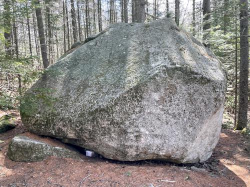 Valley Quest in April at Webb Forest in New Hampshire