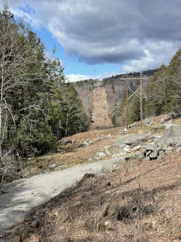 powerline swath in April at Webb Forest in New Hampshire