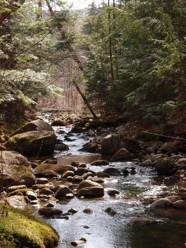 at the end of the forest road we cross Chickenboro Brook in New Hampshire