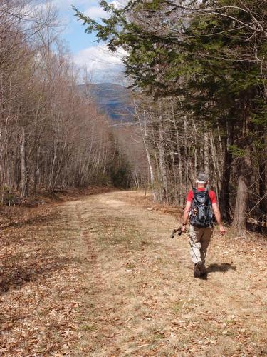 Dick heads up the woods road as we start our hike to Mount Weetamoo in New Hampshire