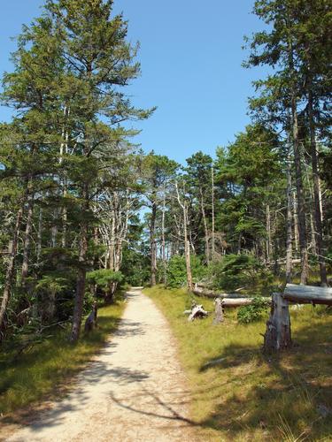 Goose Pond Trail in Wellfleet Bay Wildlife Sanctuary on Cape Cod in eastern Massachusetts