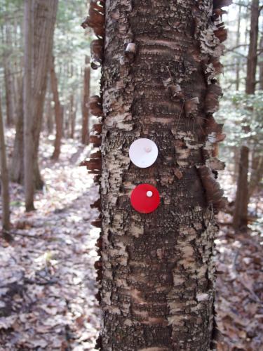 trail blazes at Wellmans Hill in southwestern New Hampshire