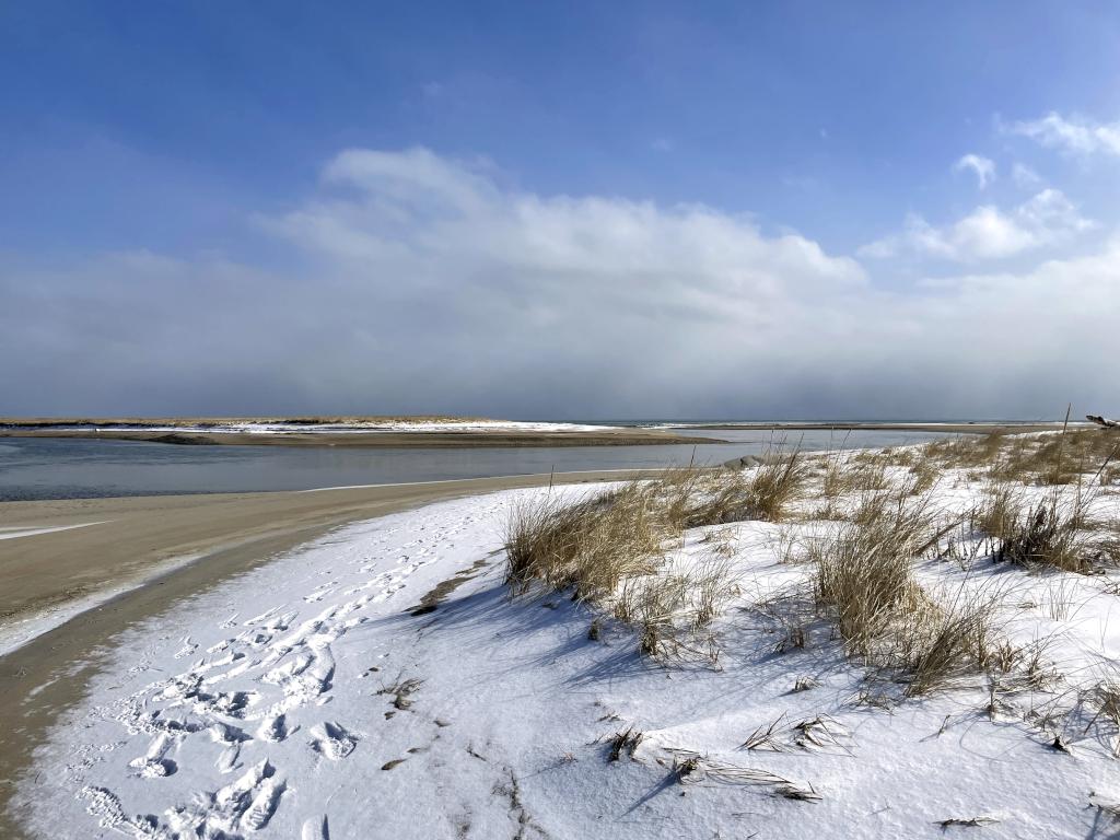 beach view in February at Wells Reserve at Laudholm in southern Maine