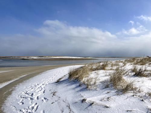 beach view in February at Wells Reserve at Laudholm in southern Maine